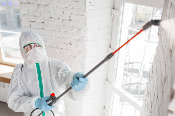 Best Mold Removal for HVAC Installations  in Pahokee, FL