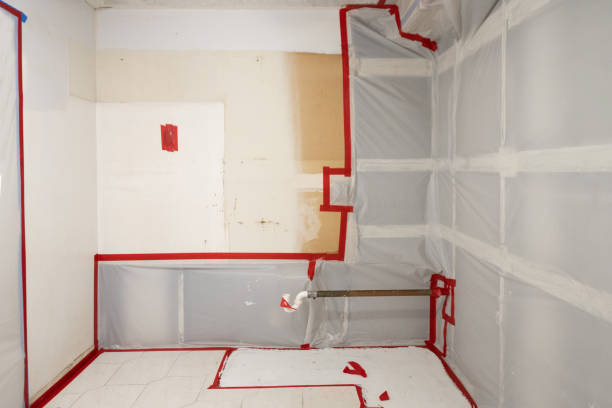 Best Black Mold Removal  in Pahokee, FL