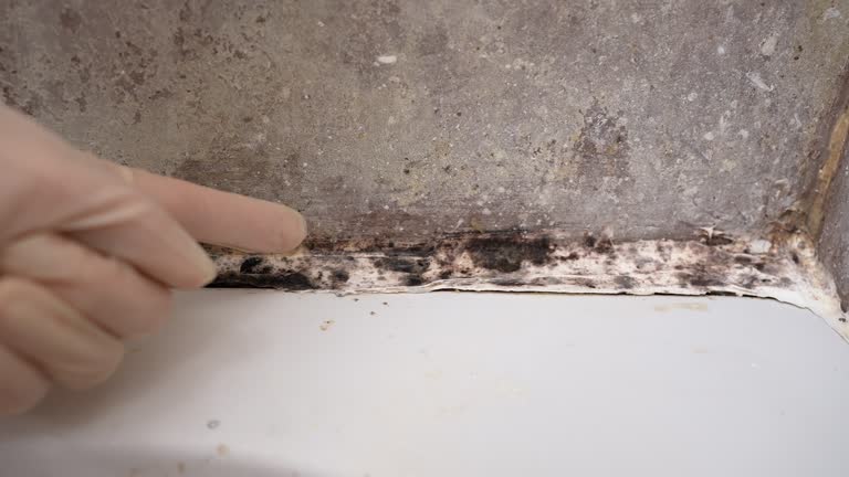 Forensic Mold Investigation in Pahokee, FL